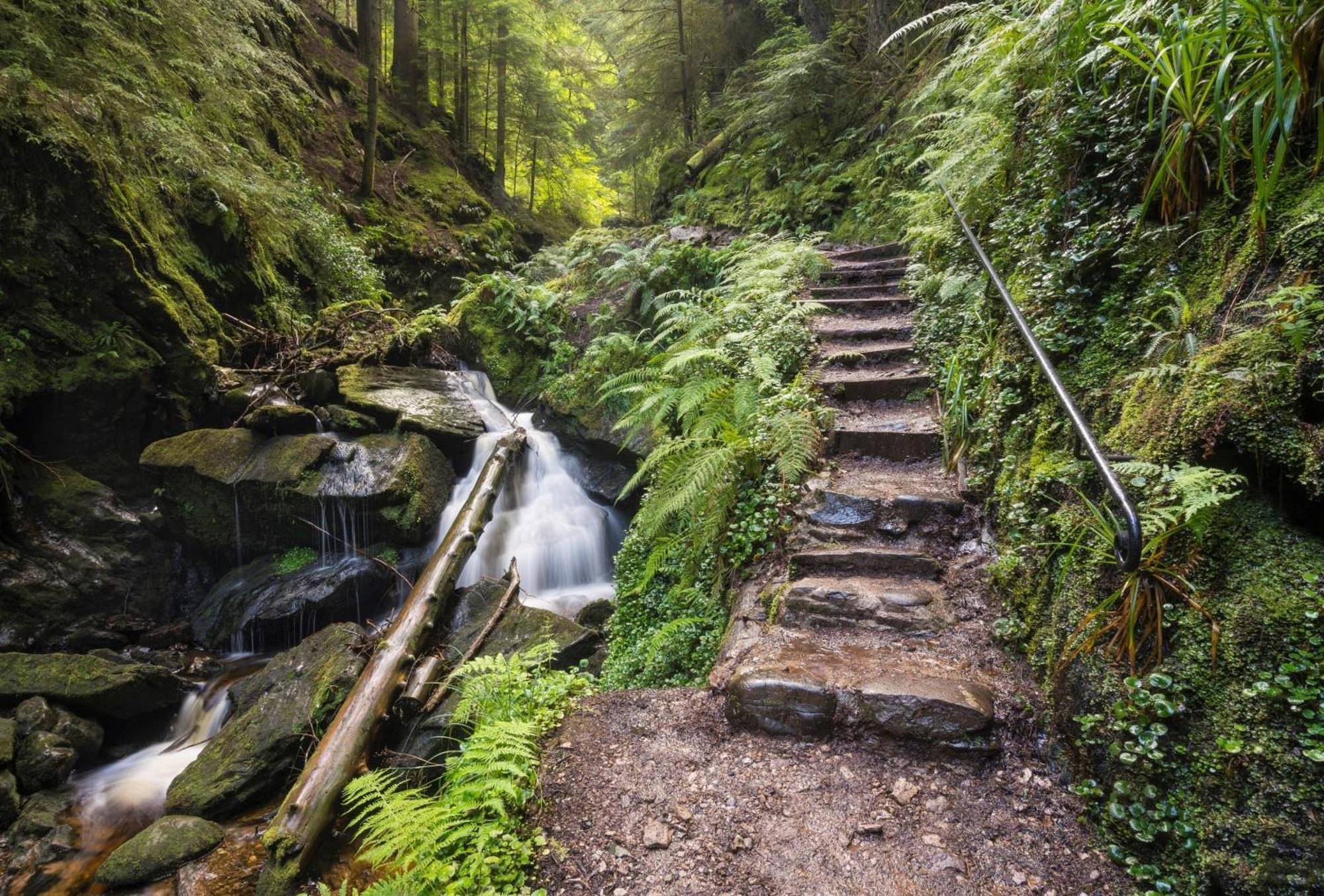 18 Lamont Lodges Dunoon Bagian luar foto